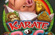 Karate Pig
