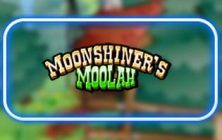 Moonshiner’s Moolah