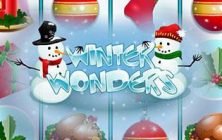Winter Wonders