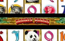 ah-double-panda-regular-games-els-pt-30