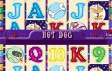 ah-hot-dog-regular-games-els-pt-31