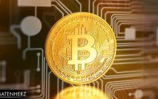 Top 4 Tipps für die Auswahl eines Online Bitcoin Casinos